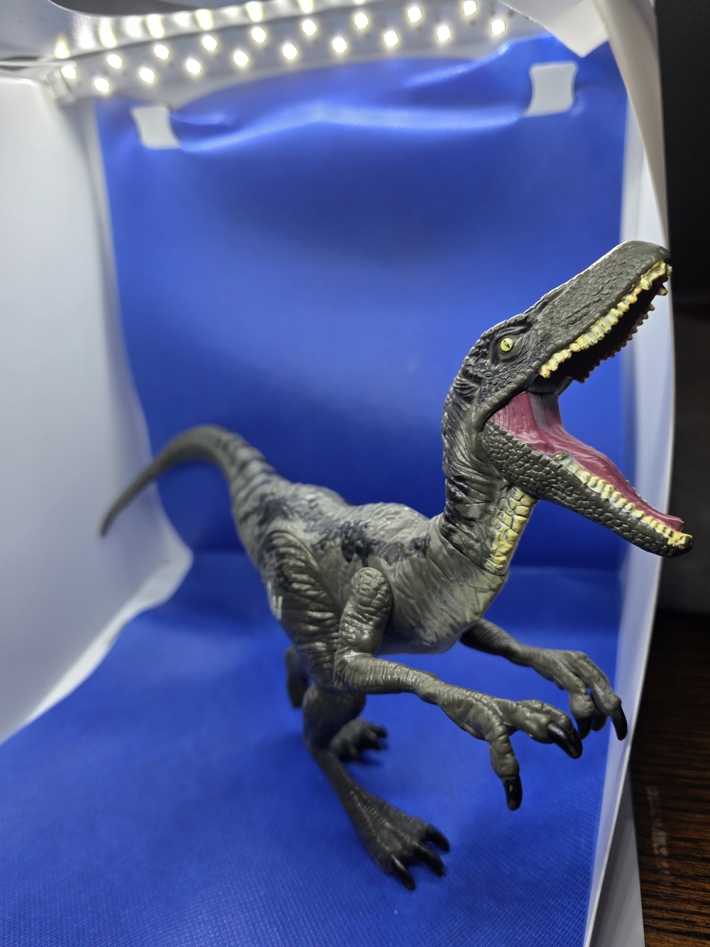Jurassic World Velociraptor Figure.